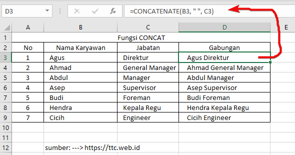 Hasil Fungsi CONCAT Excel
