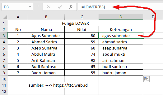 Hasil Fungsi LOWER Excel