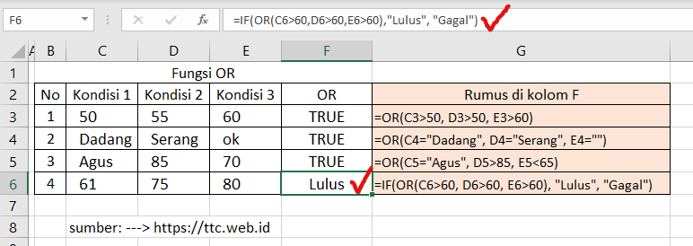 Hasil Fungsi OR Excel