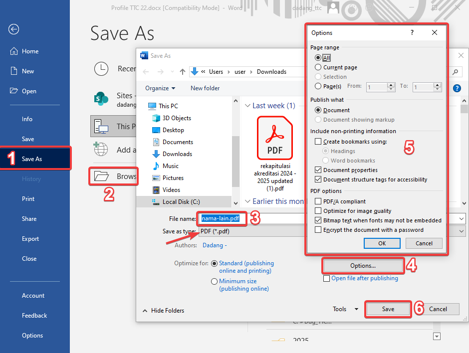 Opsi penyimpanan PDF