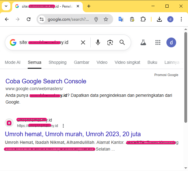 Contoh halaman yang belum sepenuhnya terindeks