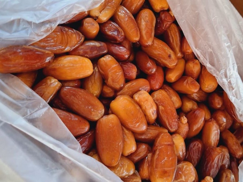 Kurma Tunis Kiloan