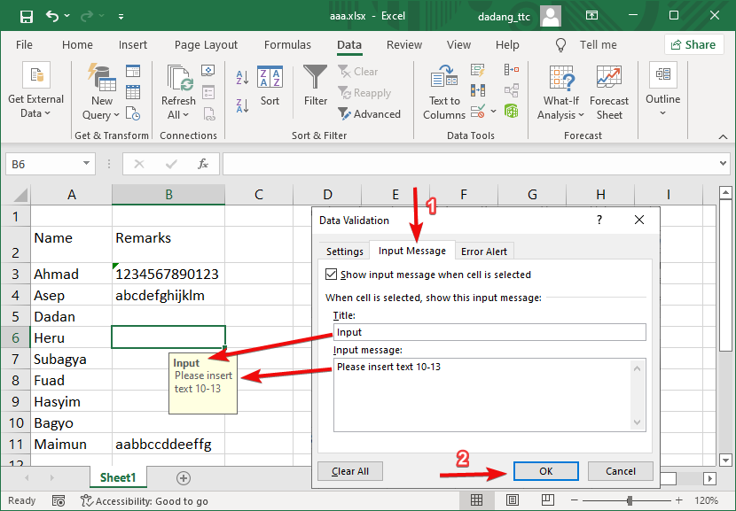 Excel input message